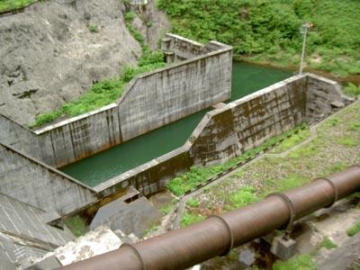 �����H�Ɠ�����