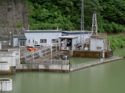 �E�ݑ��̎搅��