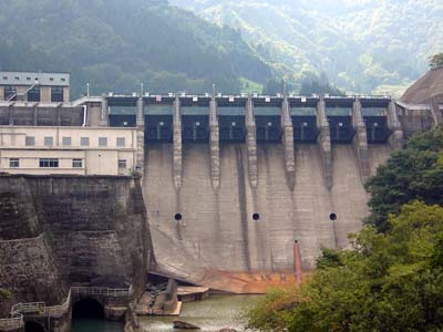 �����_���S�i