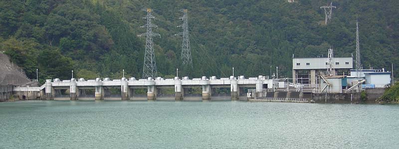 �_���΂��猩�����