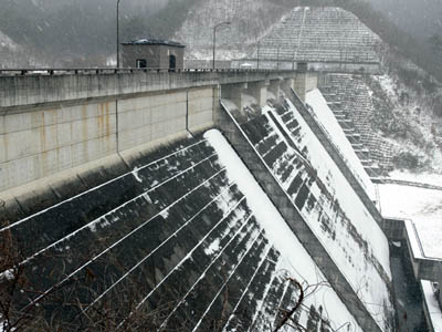 右岸から堤体下流側を見る