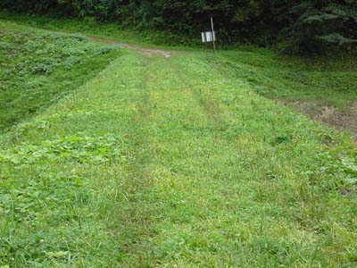 �勘���ѓ����r�V�[