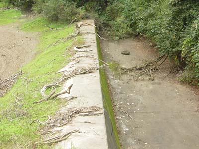 ���R�z�����^���f