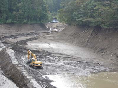 �H�����ł���