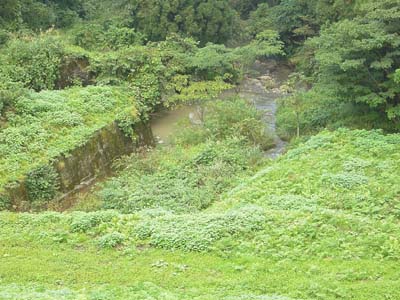 �����̓����H