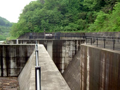 �^���f���瓱������