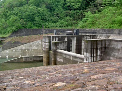 �V�[����^���f