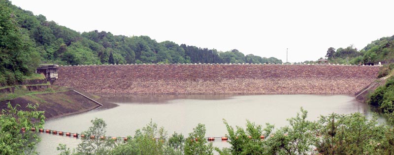 �p�m���}�ʐ^