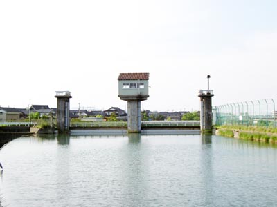 上流から堰堤