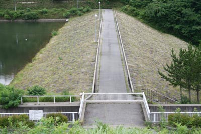 右岸側から天端を望む