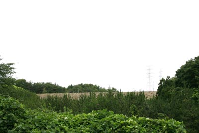 下流から堤体を望む