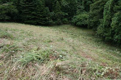 �V�[����_��������]��