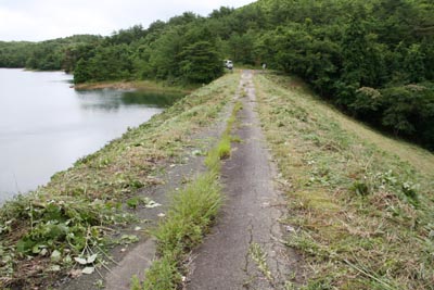 �E�݂��V�[��]��