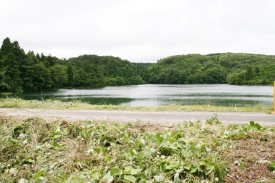 �_���΂͌I�R�����r�ƌĂ΂�Ă��܂�