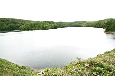 �_���΂͂قږ����ł�