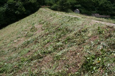 ��̂����݉���������