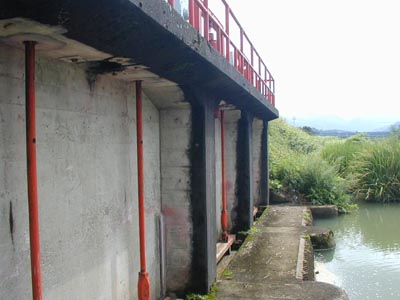 �p���ւ̐���