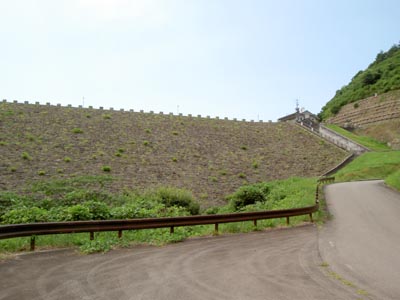 �����_���S�i