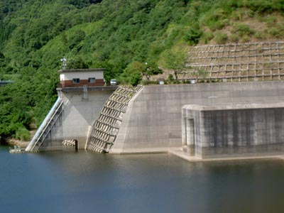 �搅���Ǝ��R�z�����^���f