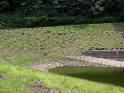 �V�[����E�݂�����