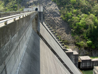 ��̉�����������