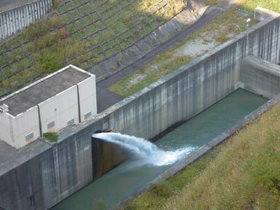 �����ǂ���̕���