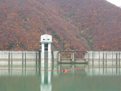 �㗬����搅���ƍ^���f��������