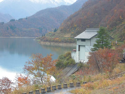 �i�[�ɂƃC���N���C�����g�t�ɕ�܂�Ă��܂�