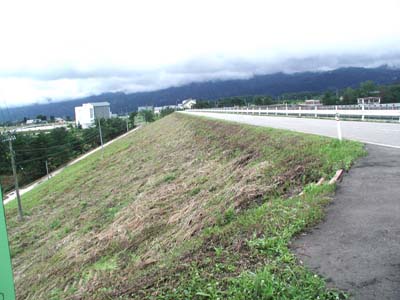 ��̉�����