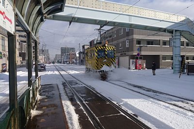 �T�T���d��