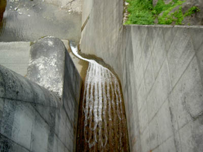 �͐�ێ��p��