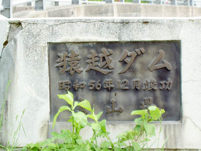 ���z�_���̊Ŕ�