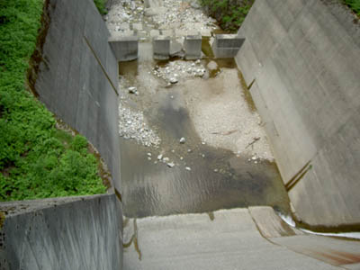 �����H�ƕ��_��