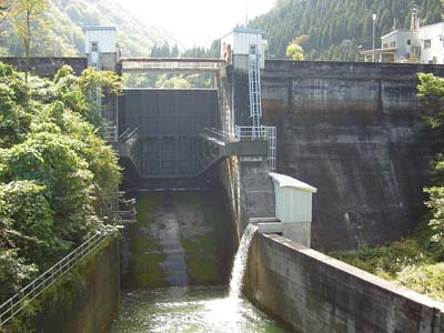 ���������猩�����