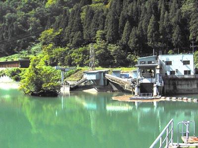 �_���΂Ǝ搅��