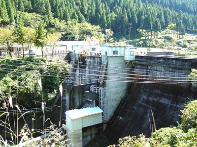 ���݉��������猩�����