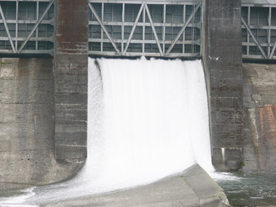 �Q�[�g���������