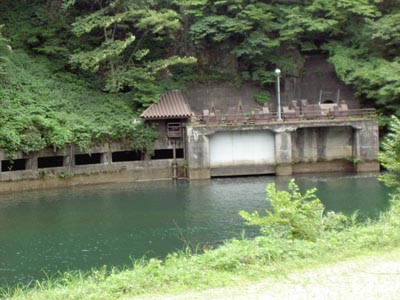 �V���n�R�_���̍^���f