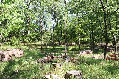 帯郭だと思うのですが