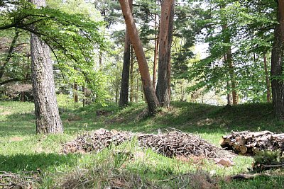 本丸の周囲には土塁が巡らせてある