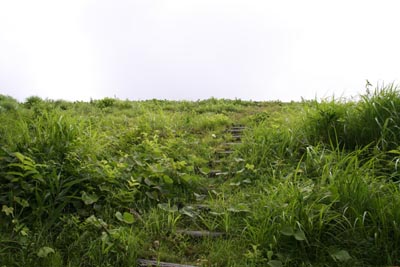 ��̒�������