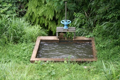 ����������p�����������Ă��܂�