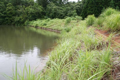 �E�ݏ㗬�������