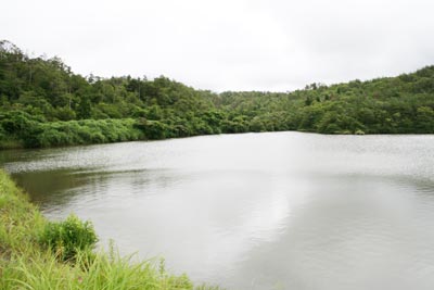 �_���΂͂قږ����ł�