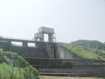 �����_���S�i