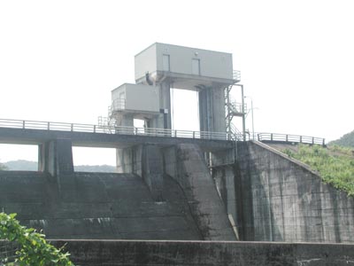 ���R�z�����^���f�ƃ��[���[�Q�[�g