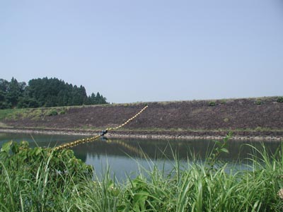 ���b�N�t�B�������͒���ł�