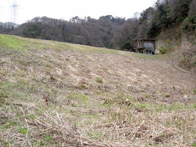 �E�݉�����������