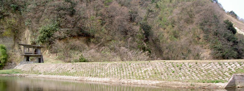 �E�ݏ㗬��������