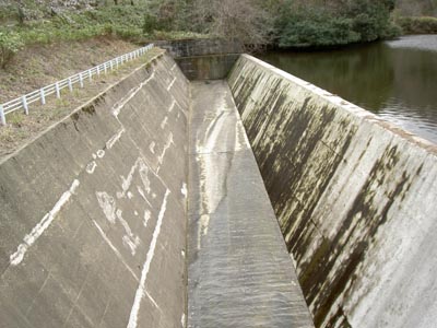 ���R�z�����^���f